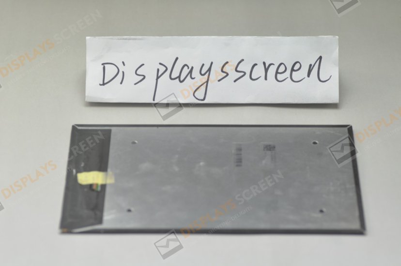 Original B101QAN01.0 AUO Screen 10.1\" 1600×2560 B101QAN01.0 Display